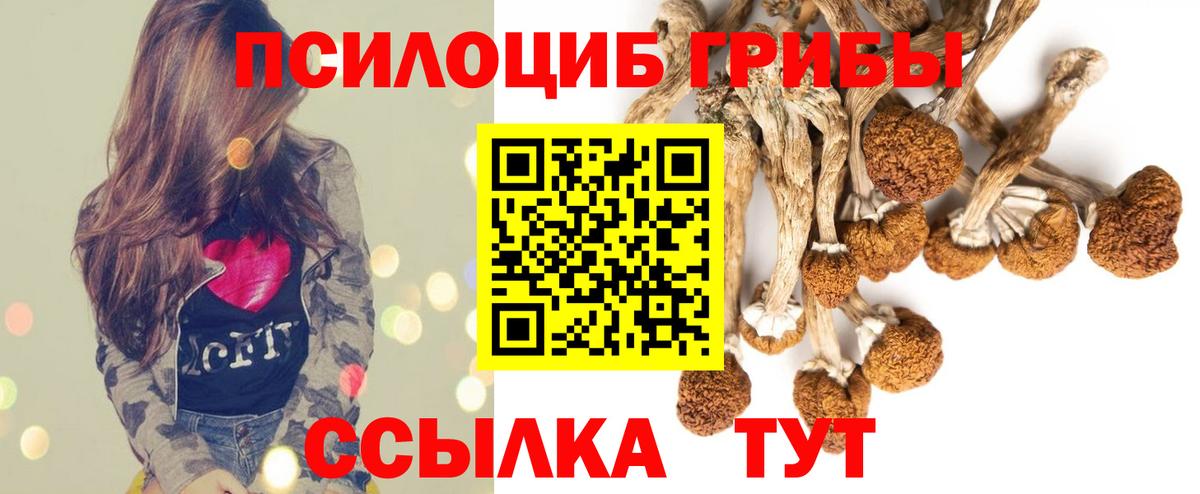 Вышний Волочёк  Галлюциногенные грибы Magic Shrooms  Вход с VPN 